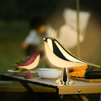 Magpie Bird Desk Lamp 2 Pack 16 Color Dimmable Cordless Night Light USB Charging Touch for Entryways, Bedrooms and Living Spaces