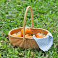 Handwoven Rattan Storage Basket with Carry Handle in Light Brown Medium Drain-Basket Format