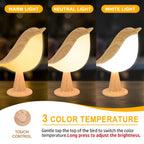 Magpie Bird Desk Lamp 2 Pack 16 Color Dimmable Cordless Night Light USB Charging Touch for Entryways, Bedrooms and Living Spaces