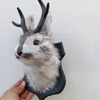 Jackalope Wall Mount Faux Taxidermy Rabbit Head with Antlers - Whimsical 3D Resin Animal Wall Art for Home