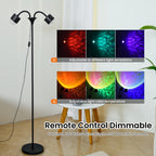 Black Dual-Head Floor Projector Lamp with Two Adjustable Spot Heads, Remote and Color Discs