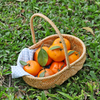 Handwoven Rattan Storage Basket with Carry Handle in Light Brown Medium Drain-Basket Format