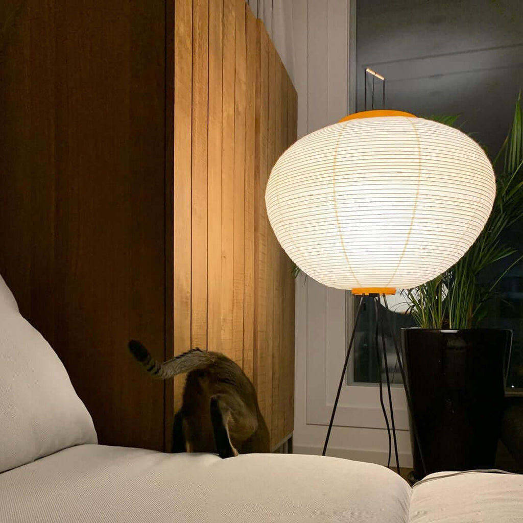 Akari 10A Rice Paper Floor Lamp, Japanese style, suitable for study, bedroom, and living spaces