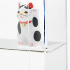 Acrylic Display Case (W9.9 x D3.3 x H7.2")
