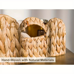 Scalloped Wicker Storage Baskets Set of 2 with Handles in Water Hyacinth or Seagrass Weave