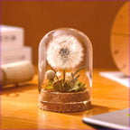 Dandelion Glass Dome Tabletop Decor with White Seed Head, Cork-Look Base, 3.2 x 2.4-Inch Size and Red or Pink Flowers